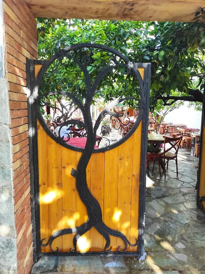 Oda Hostel Tirana Albánie